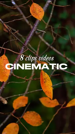 8 clips cinematic 
