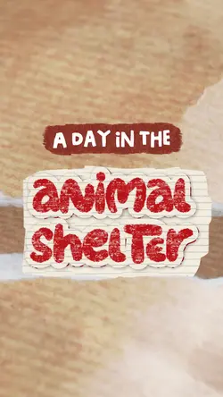 SWS animal Shelte