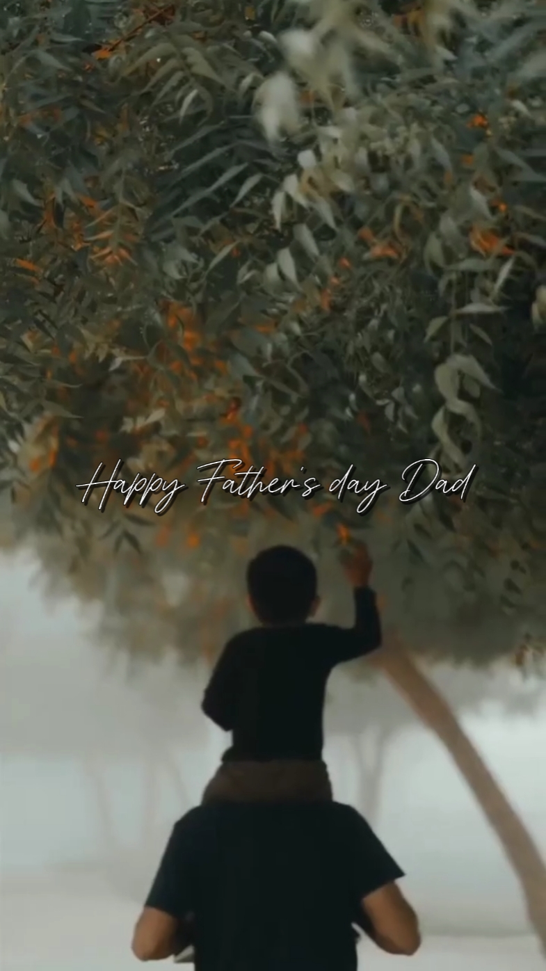 Feliz Dia dos Pais 