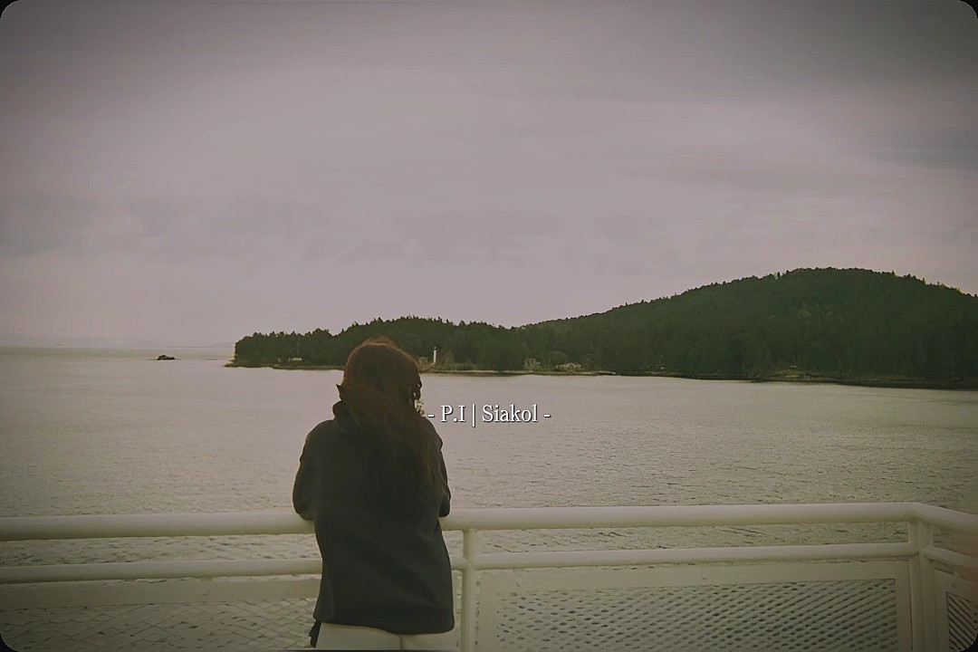 P.I