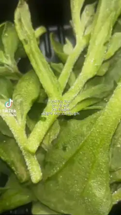 나눔