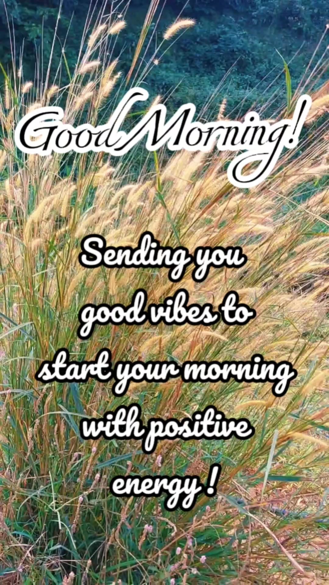 Guten Morgen