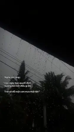 Caption +màu 