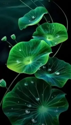3dwallpaper