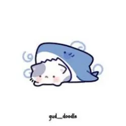 파란색 사진을 넣어보세요.
