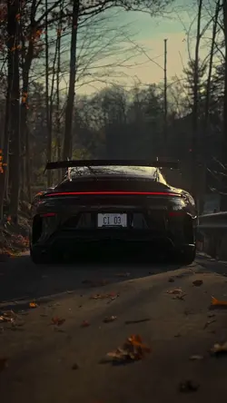 Porsche Template