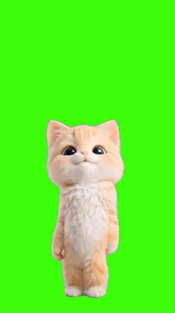 Cat/Gato.