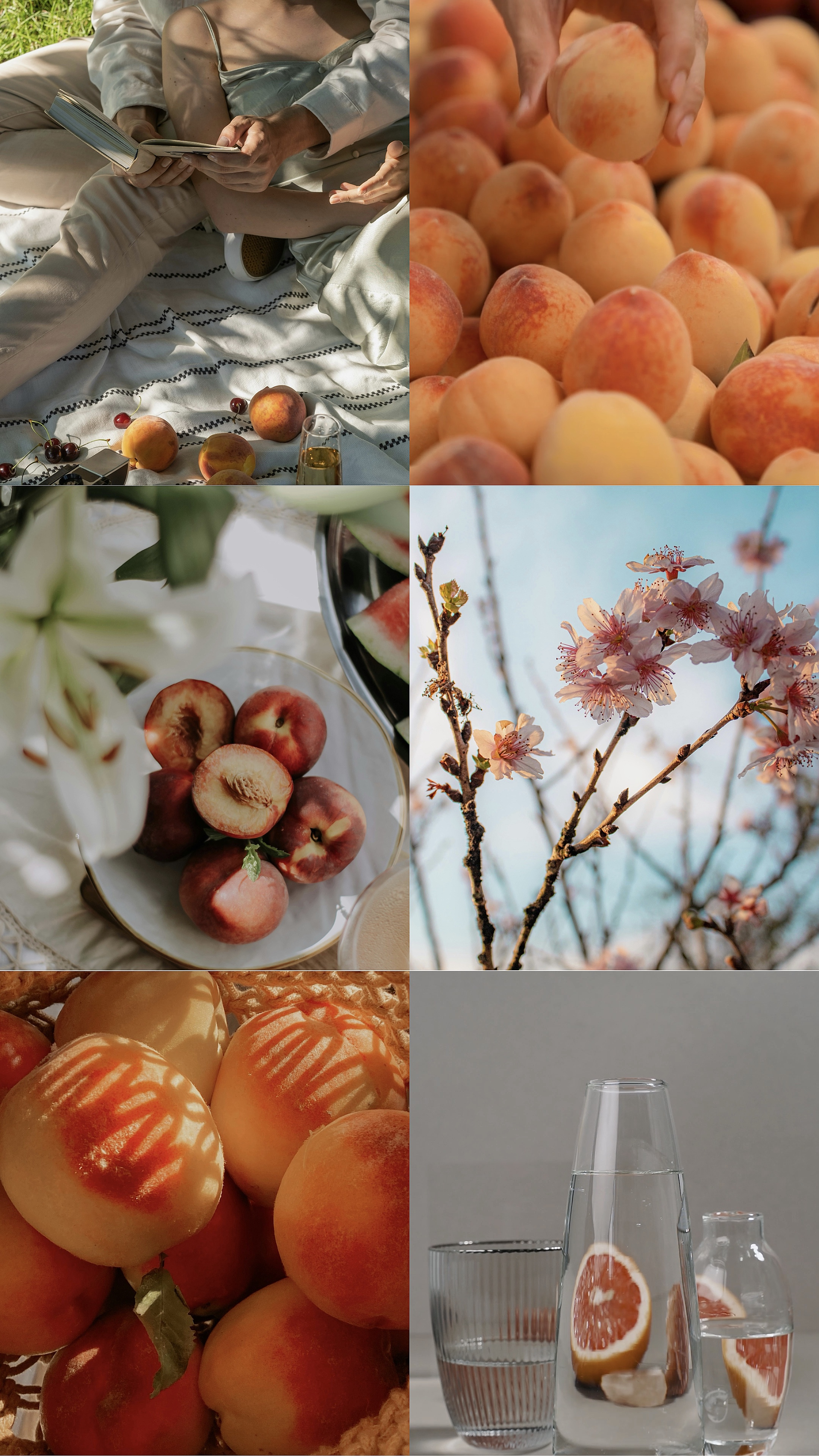 6 na collage 