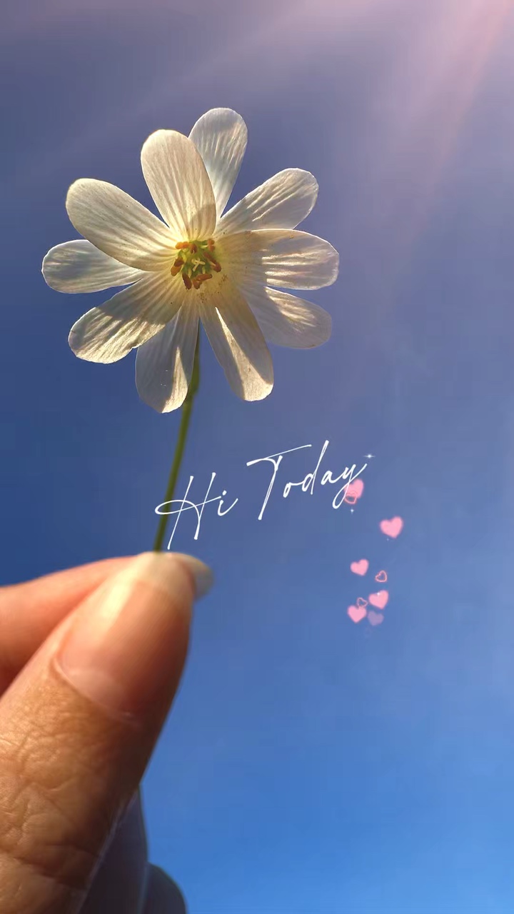 Hai Hari Ini 