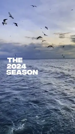 2024 season