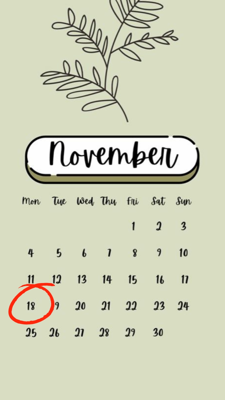 birthday 18 nov 2024