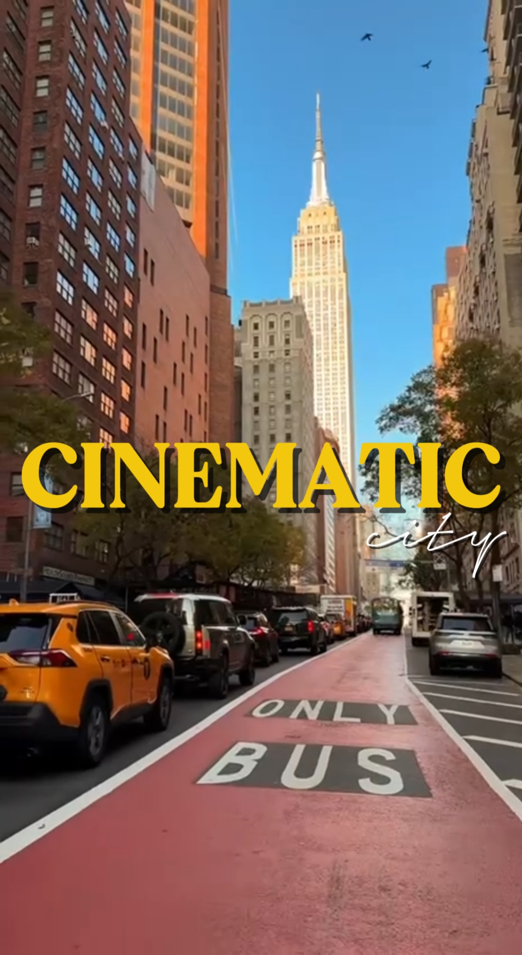 CINEMATIC CITY