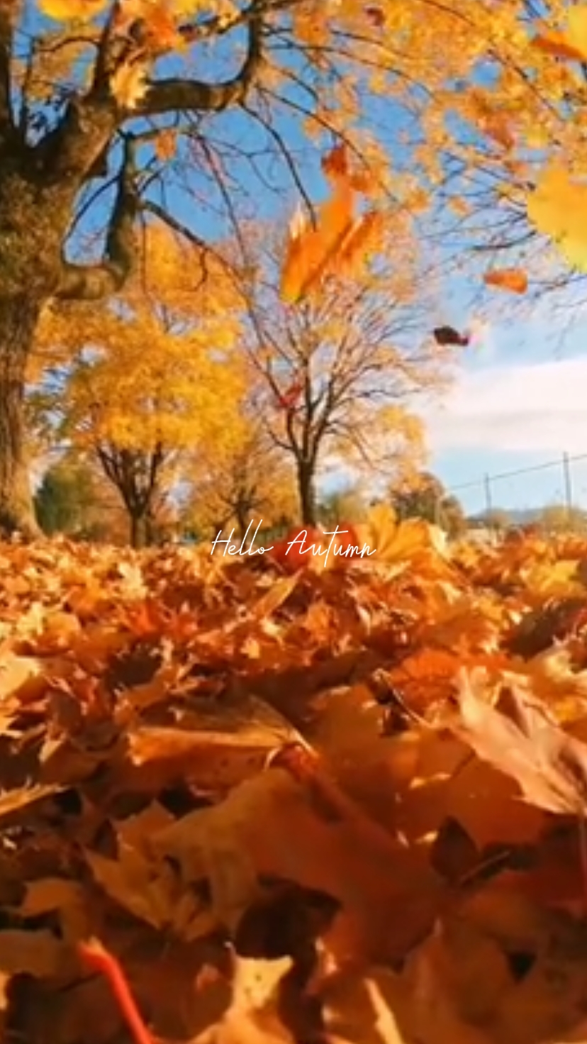 Hallo Herbst 