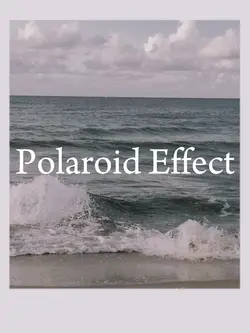 Polaroid Filter 