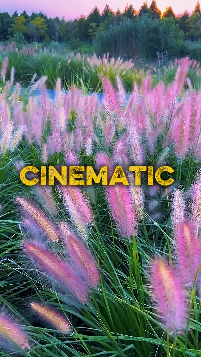 Cinematic 