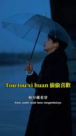 Tou tou xi huan 偷偷喜歡