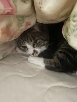 お布団気持ちー👍