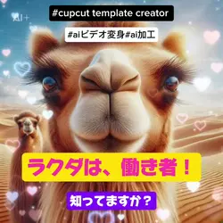 ラクダは、働き者！