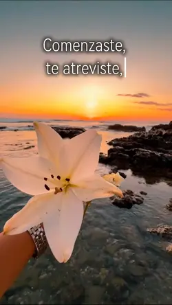 Sigue tus sueños