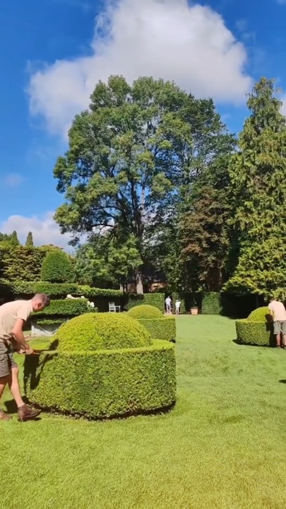 Gardening