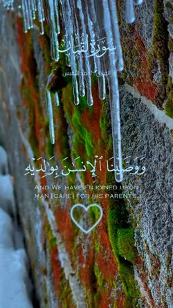 Quran (قرآن كريم)