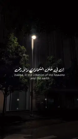 عمر بن ضياء الدين