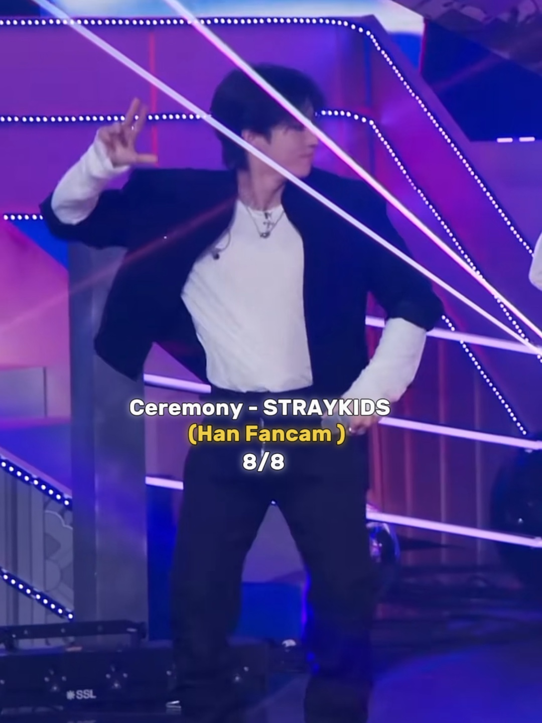 FANCAM