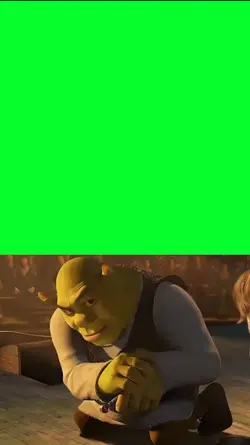 SHREK RIZZ UP