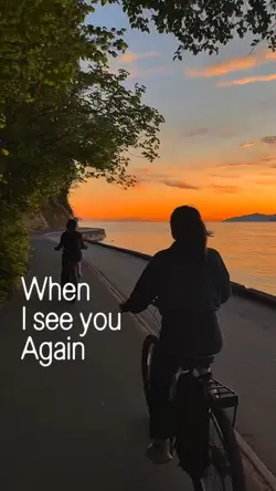 See you again 