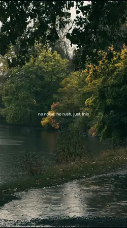 no noise, no rush, j