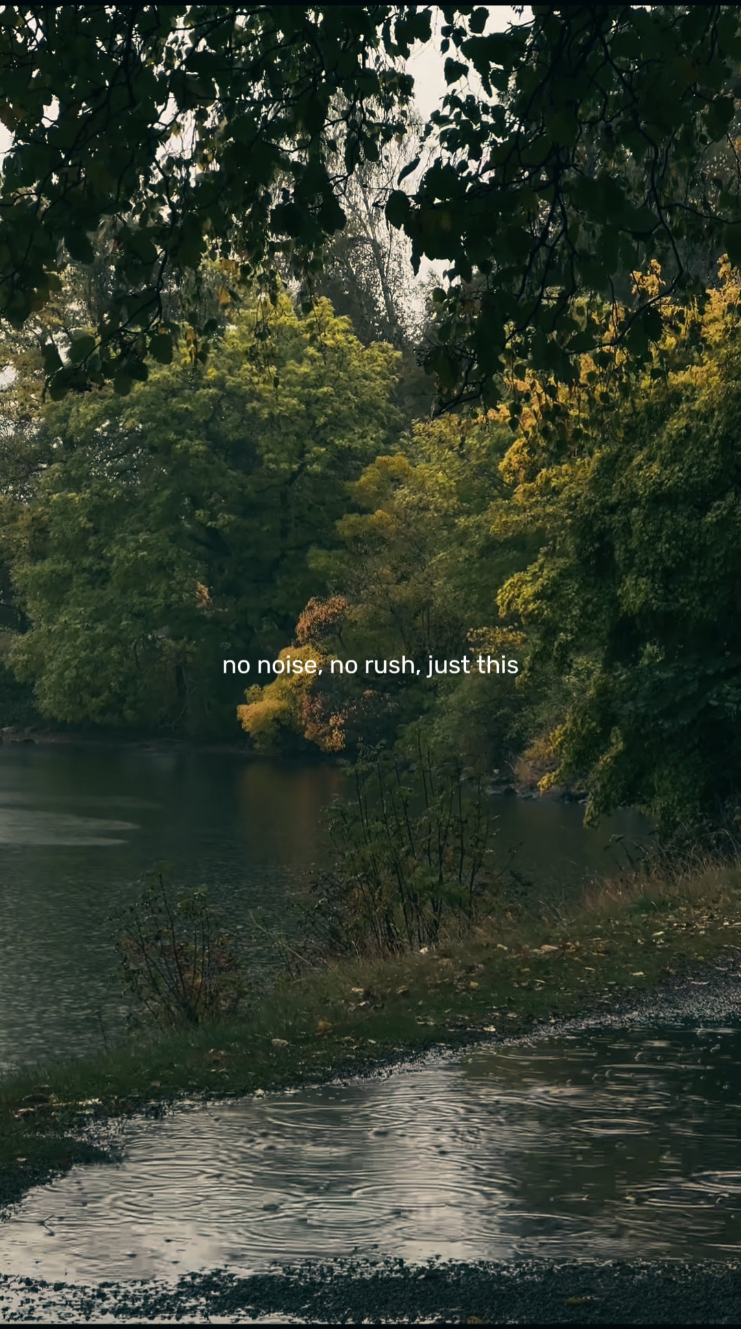 Pas de bruit, pas de précipitation, j