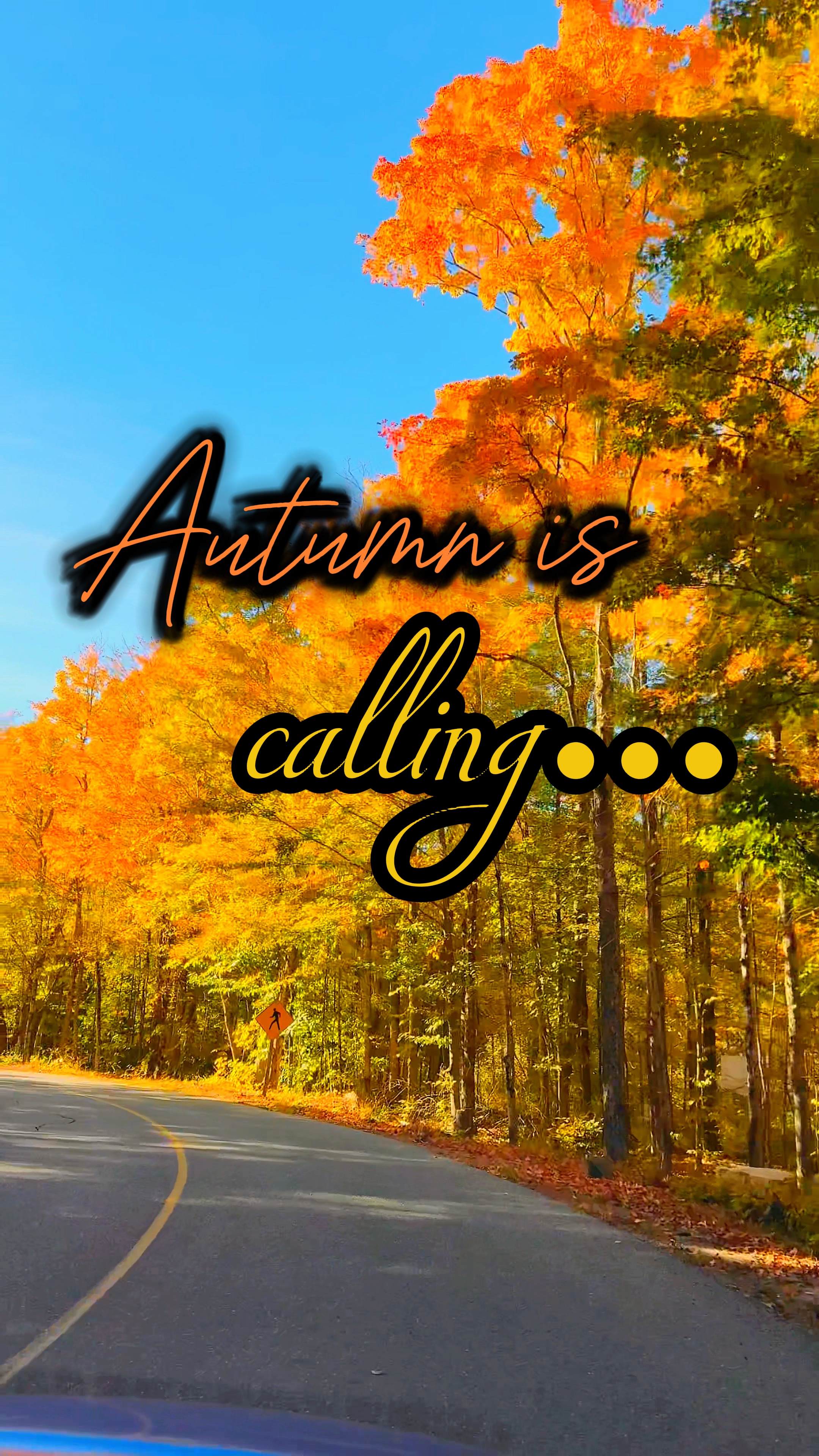 L'automne appelle