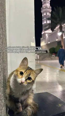semua pasti bisa