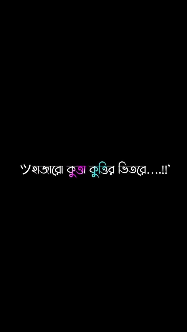 নিষ্পাপ বিড়াল আমি *