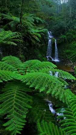 beautiful nature