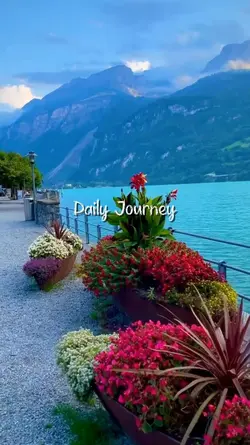 daily journey