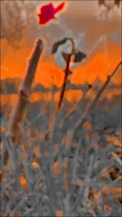 slowmo trending 