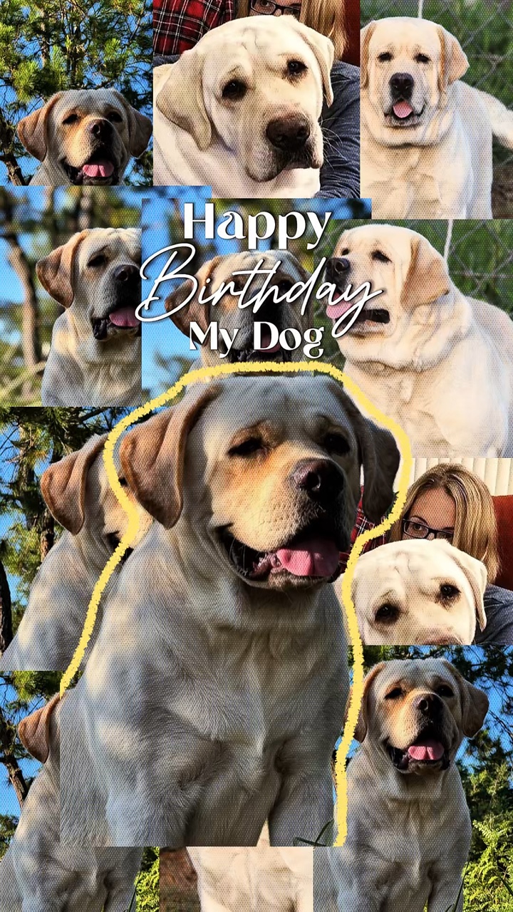 CUMPLEAÑOS MI PERRO