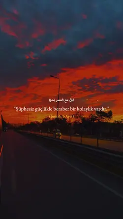 yeni şablon