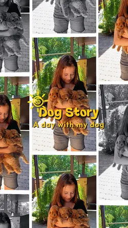 Dog Story