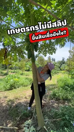 ไม่มีสลิปขอกู้ได้มั้ย‼️