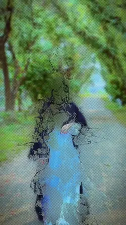 viral video 