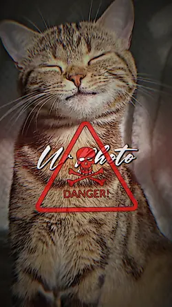 2รูป กำลังฮิต