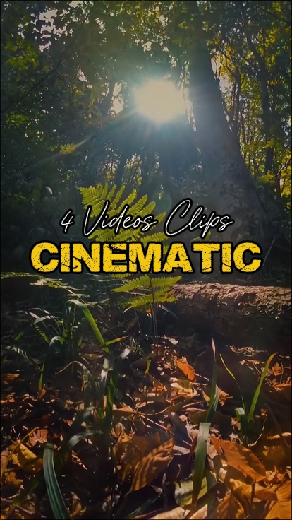 4 Videos Clips
