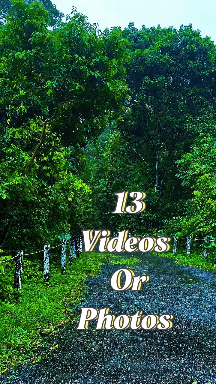 13 Videos or photos 