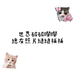 七張照片加一段影片