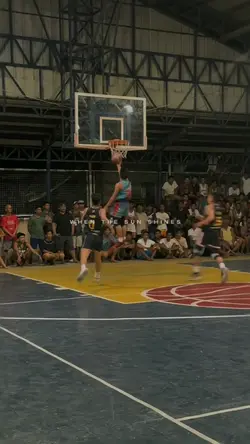 Fly Gomez