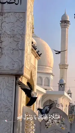 yaaRosulallah |30dtk