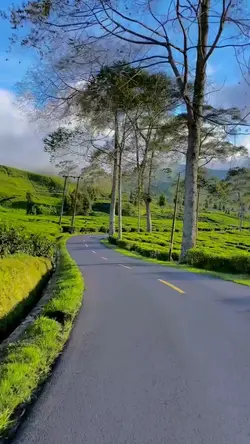 1 video travel HD