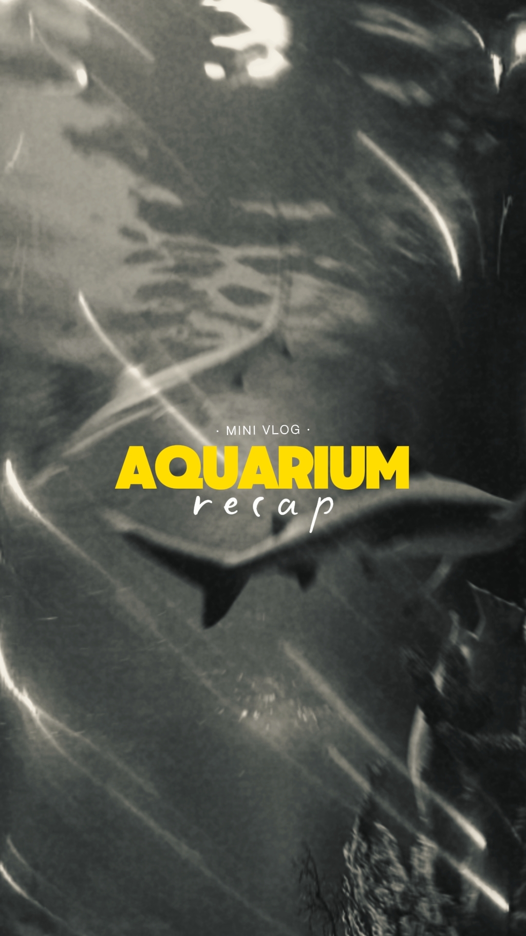 aquarium recap